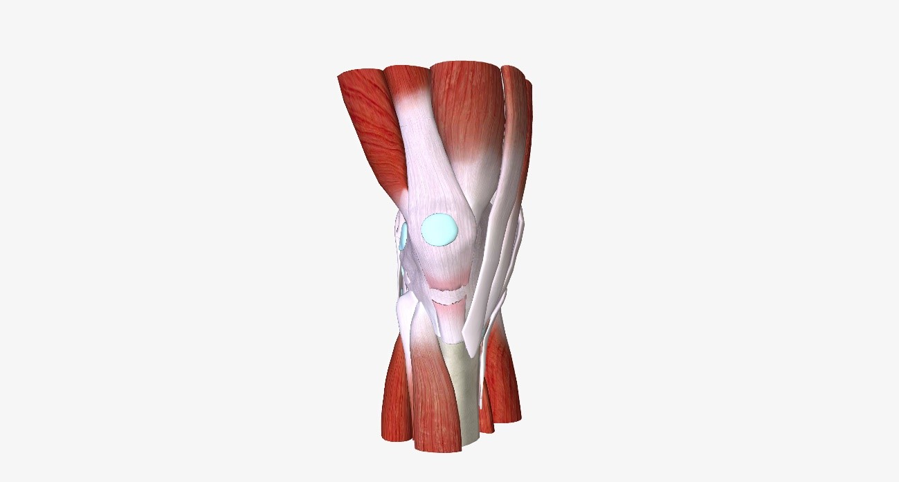 Imageme2