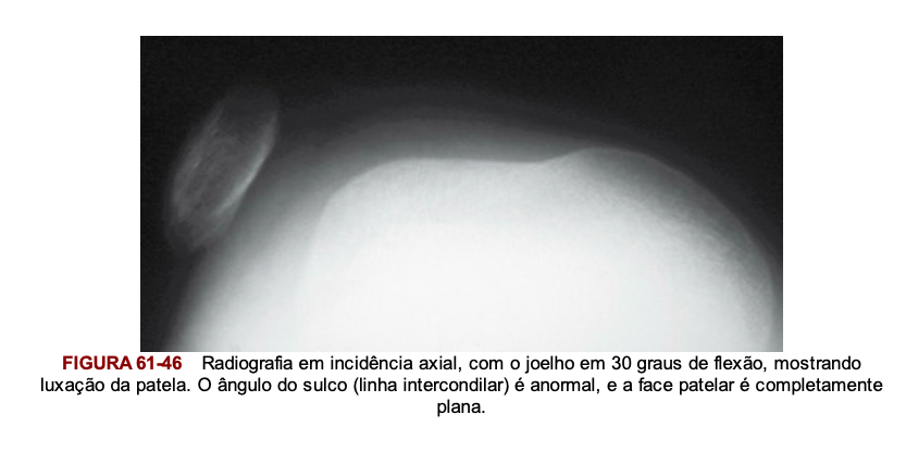 Captura de Tela 2024-04-19 aÌs 16.23.29